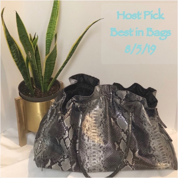 Handbags - Lg Silver/ Snake Look Tote Bag. DSW Never Used